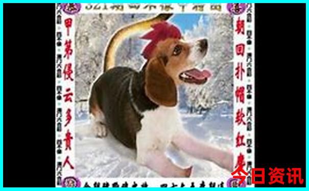 武汉暑假带孩子去哪玩